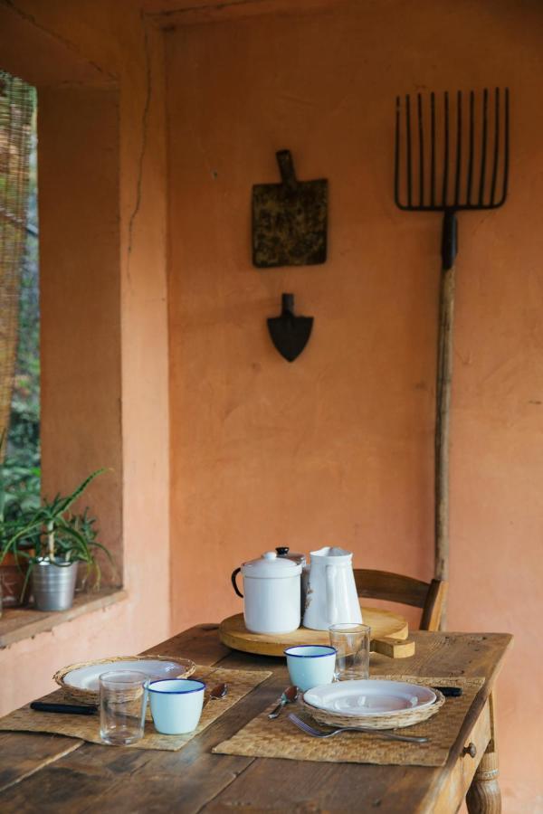 Studio/Flat Rustic Tuscan Marziani 2 Capannori Exterior foto