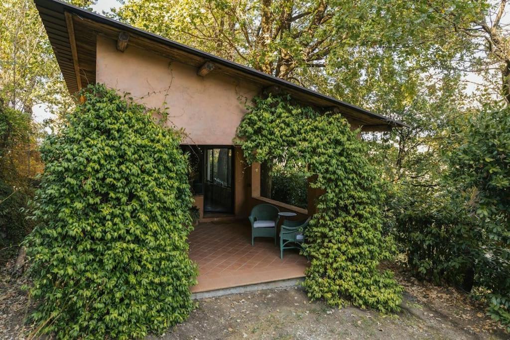 Studio/Flat Rustic Tuscan Marziani 2 Capannori Exterior foto